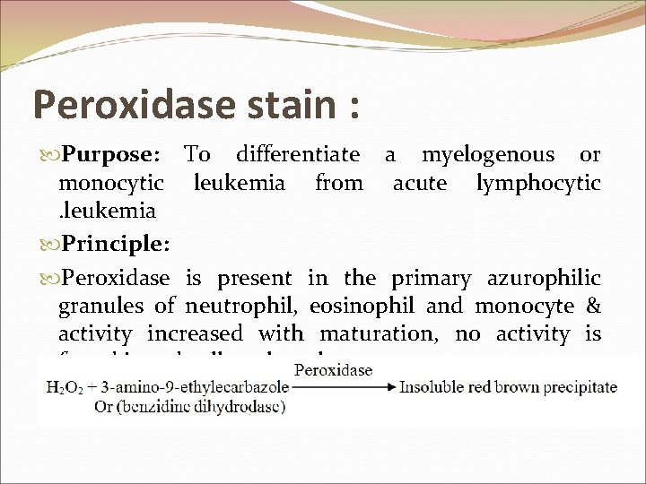 Peroxidase stain : Purpose: To differentiate a myelogenous or monocytic leukemia from acute lymphocytic.