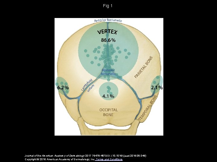 Fig 1 Journal of the American Academy of Dermatology 2017 76478 -487 DOI: (10.