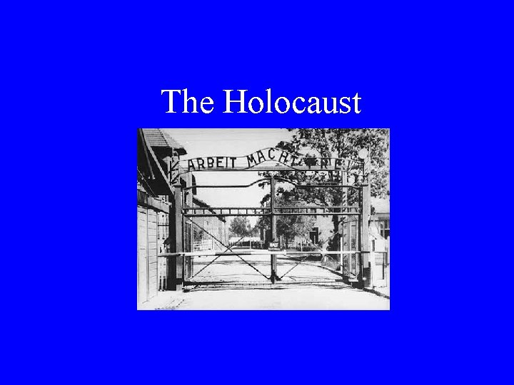 The Holocaust 