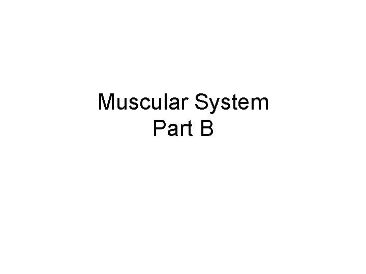 Muscular System Part B 