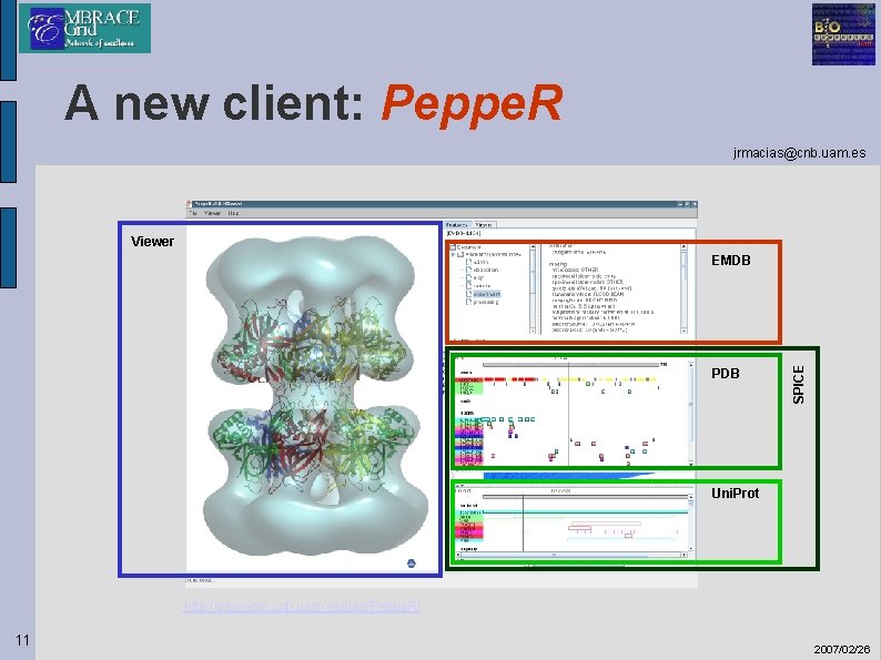 A new client: Peppe. R jrmacias@cnb. uam. es Viewer PDB SPICE EMDB Uni. Prot