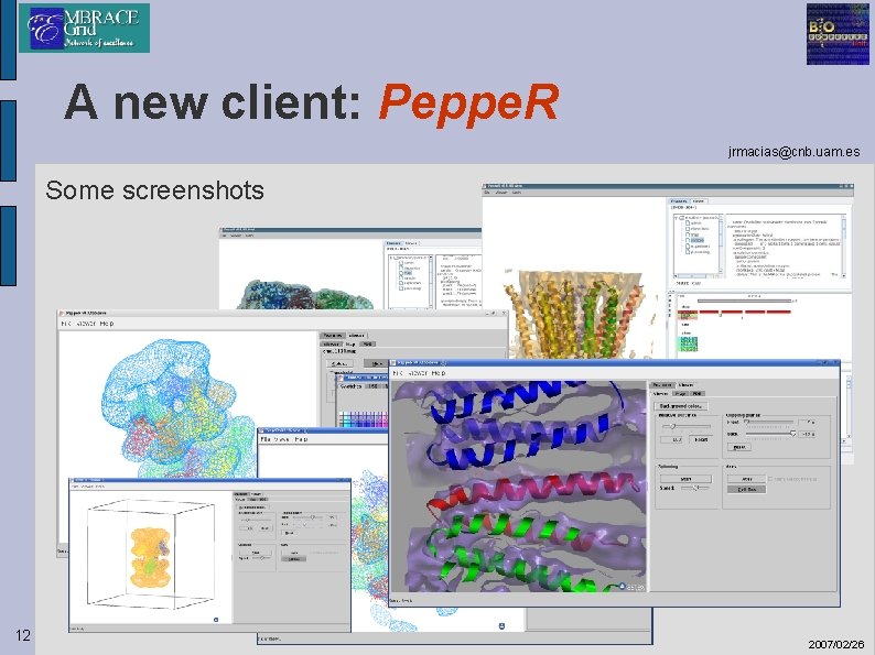 A new client: Peppe. R jrmacias@cnb. uam. es Some screenshots 12 2007/02/26 