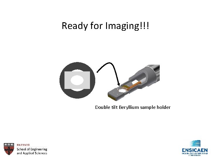 Ready for Imaging!!! Double tilt Beryllium sample holder 