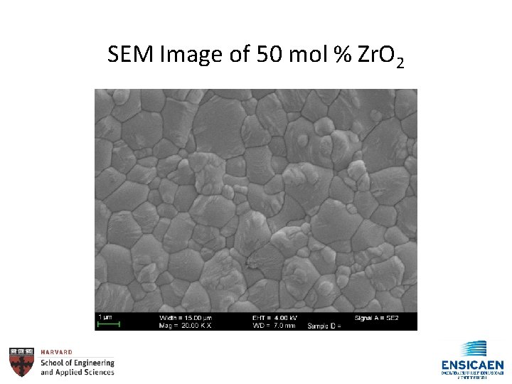 SEM Image of 50 mol % Zr. O 2 