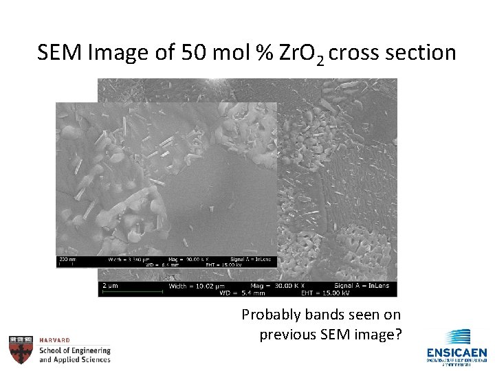 SEM Image of 50 mol % Zr. O 2 cross section Probably bands seen
