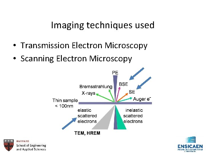 Imaging techniques used • Transmission Electron Microscopy • Scanning Electron Microscopy 