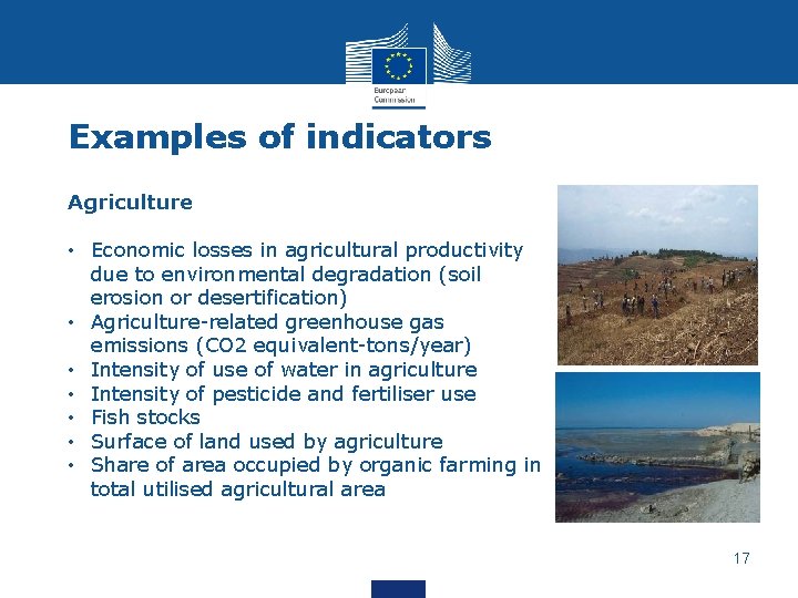 Examples of indicators Agriculture • Economic losses in agricultural productivity due to environmental degradation