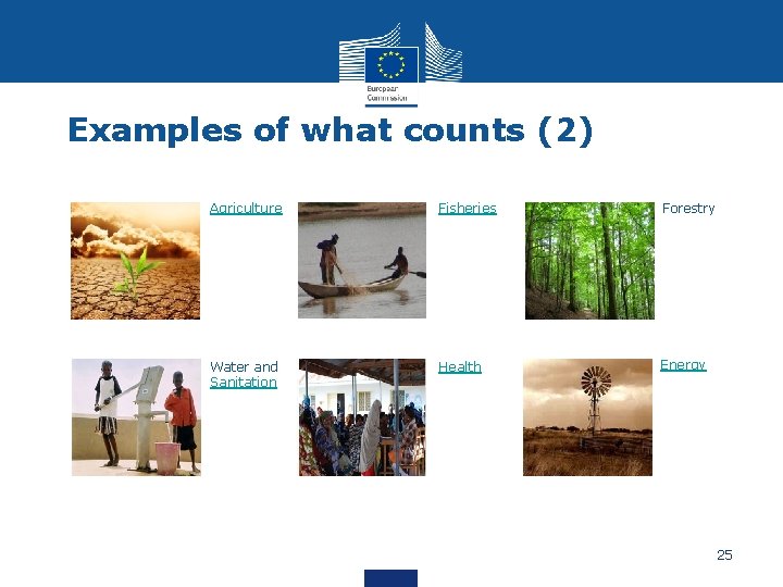 Examples of what counts (2) Agriculture Fisheries Forestry Water and Sanitation Health Energy 25