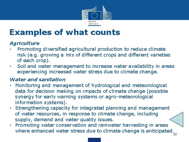 Examples of what counts Agriculture • Promoting diversified agricultural production to reduce climate risk