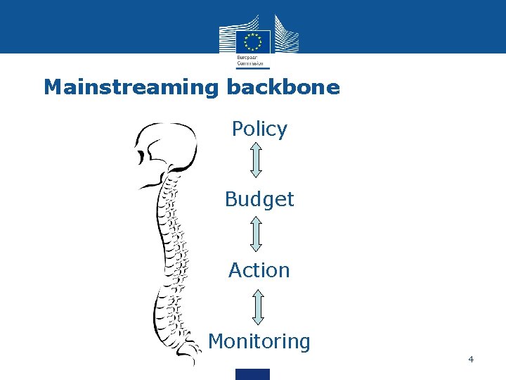 Mainstreaming backbone Policy Budget Action Monitoring 4 