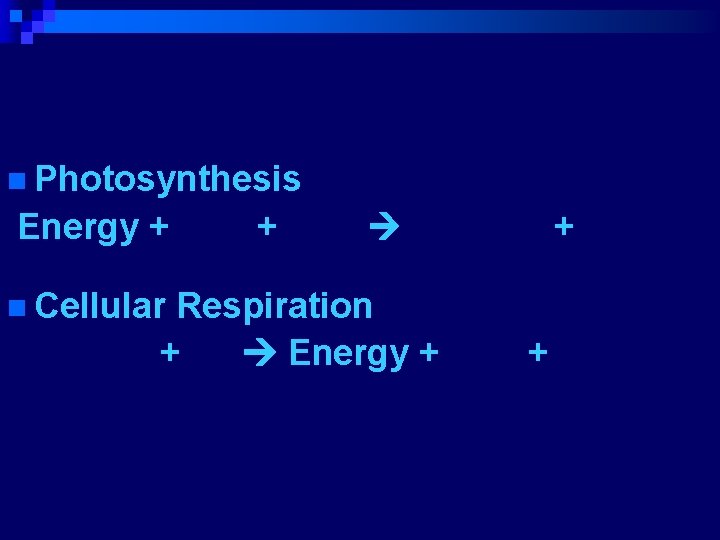 n Photosynthesis Energy + CO 2 + H 2 O C 6 H 12