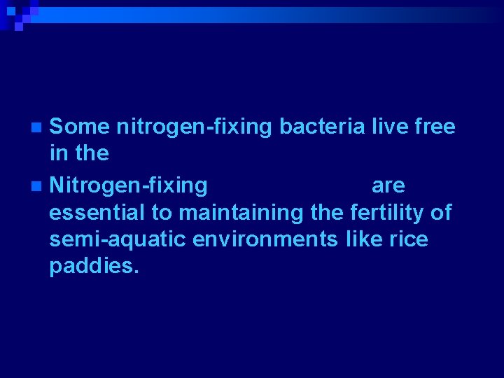 Some nitrogen-fixing bacteria live free in the soil. n Nitrogen-fixing cyanobacteria are essential to