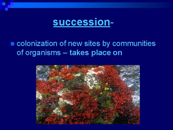Primary successionn colonization of new sites by communities of organisms – takes place on