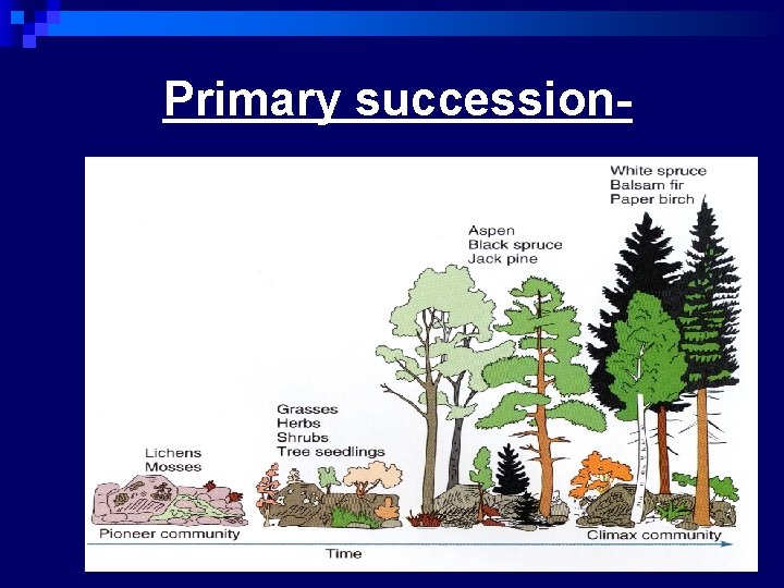 Primary succession- 