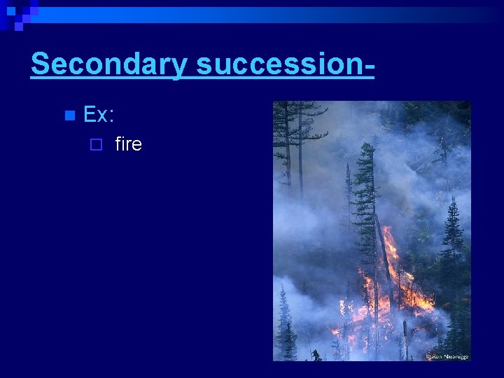 Secondary successionn Ex: ¨ fire 