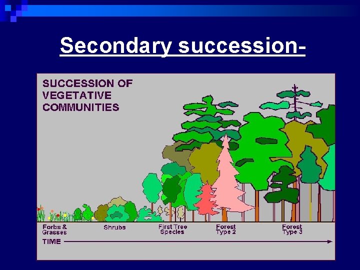 Secondary succession- 