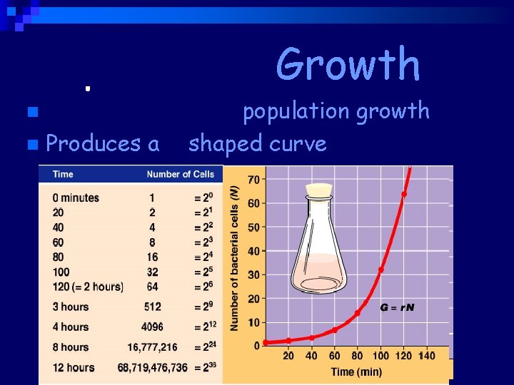 Exponential Growth ideal, unregulated population growth n Produces a J shaped curve n 