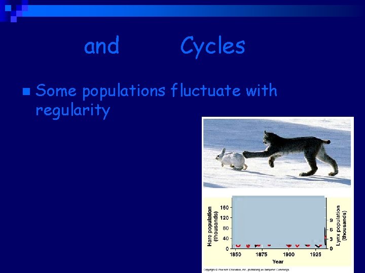 Boom and Bust Cycles n Some populations fluctuate with regularity 