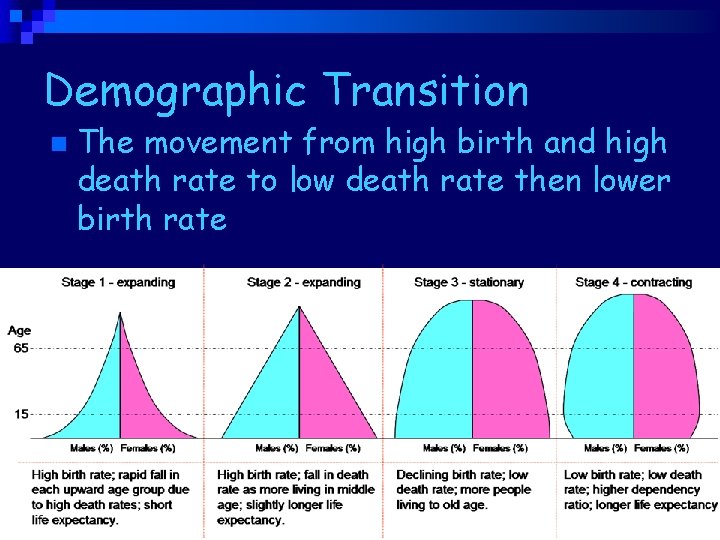 Demographic Transition n The movement from high birth and high death rate to low