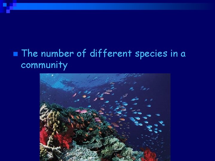 Biodiversity n The number of different species in a community 