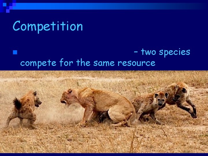 Competition n Interspecific competition – two species compete for the same resource 
