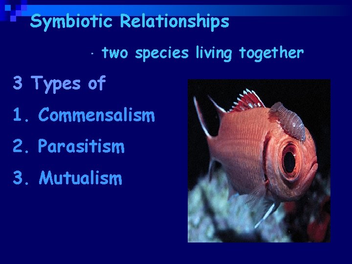 Symbiotic Relationships Symbiosis- two species living together 3 Types of 1. Commensalism 2. Parasitism