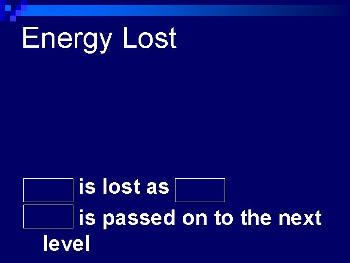 Energy Lost 90% is lost as heat 10% is passed on to the next
