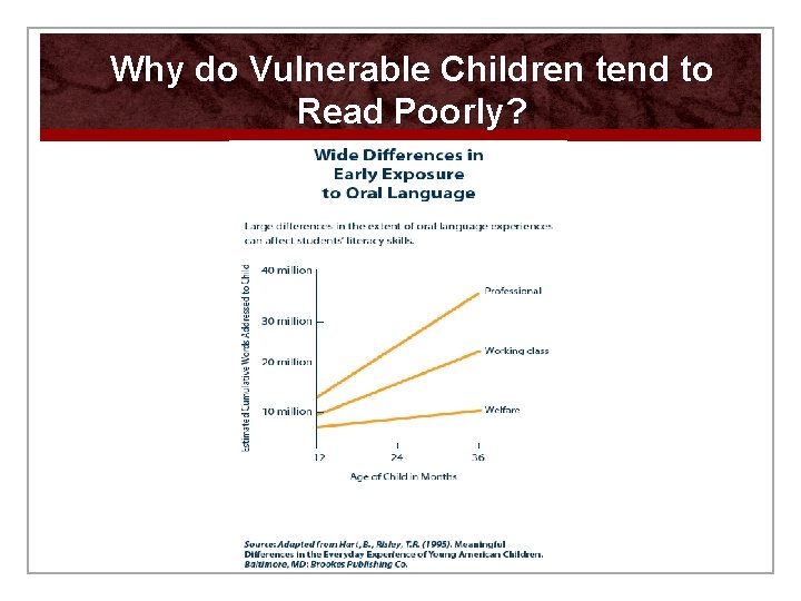 Why do Vulnerable Children tend to Read Poorly? 