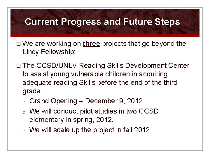 Current Progress and Future Steps q We are working on three projects that go