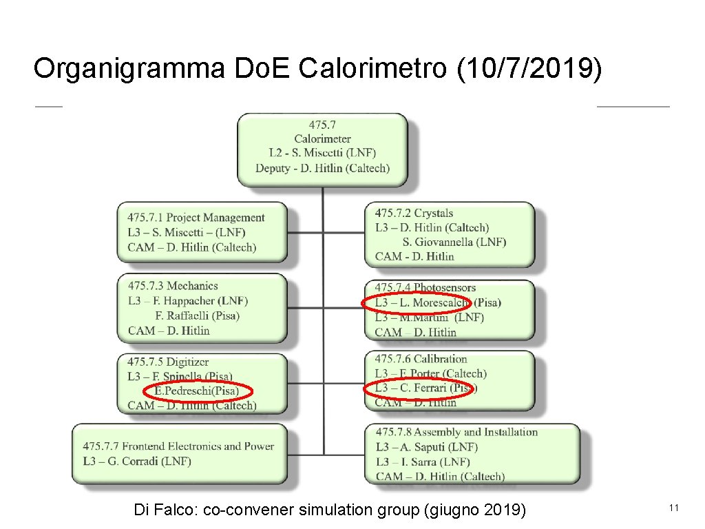 Organigramma Do. E Calorimetro (10/7/2019) Di Falco: co-convener simulation group (giugno 2019) 11 