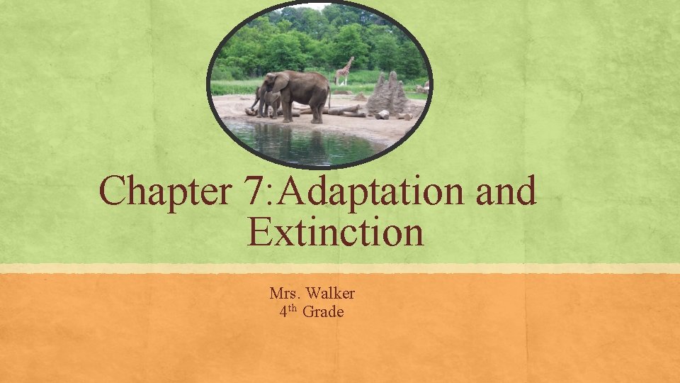Chapter 7: Adaptation and Extinction Mrs. Walker 4 th Grade Chapter 7: Adaptation and Extinction Mrs. Walker 4 th Grade