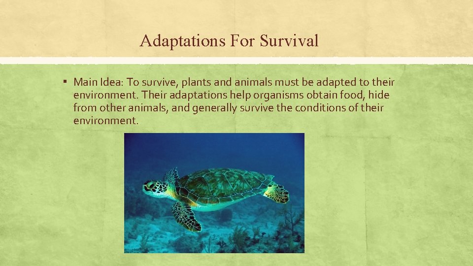 Adaptations For Survival ▪ Main Idea: To survive, plants and animals must be adapted Adaptations For Survival ▪ Main Idea: To survive, plants and animals must be adapted