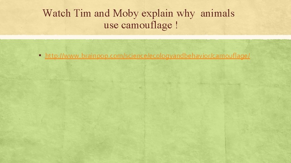 Watch Tim and Moby explain why animals use camouflage ! ▪ http: //www. brainpop. Watch Tim and Moby explain why animals use camouflage ! ▪ http: //www. brainpop.