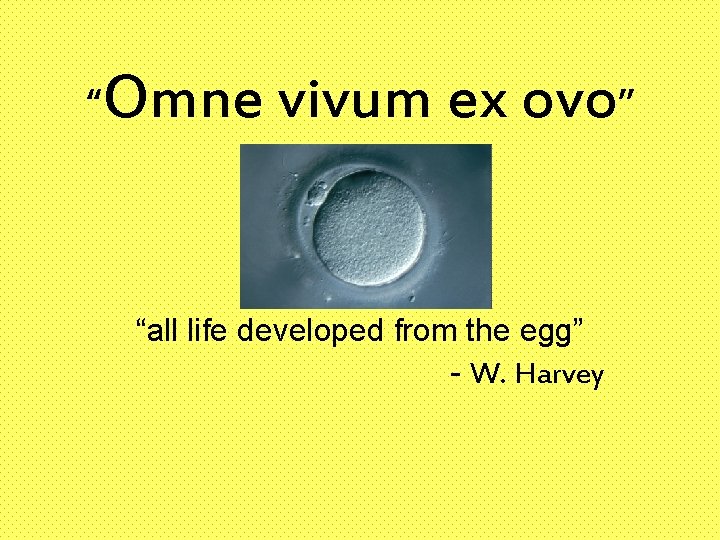 “Omne vivum ex ovo” “all life developed from the egg” - W. Harvey 