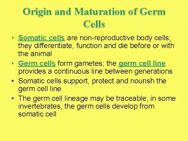 Origin and Maturation of Germ Cells • Somatic cells are non-reproductive body cells; they