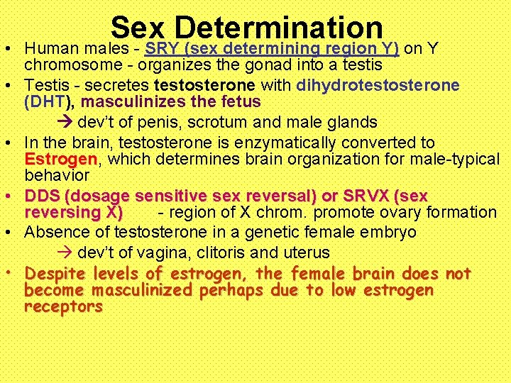 Sex Determination • Human males - SRY (sex determining region Y) on Y chromosome