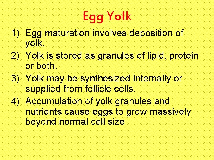 Egg Yolk 1) Egg maturation involves deposition of yolk. 2) Yolk is stored as