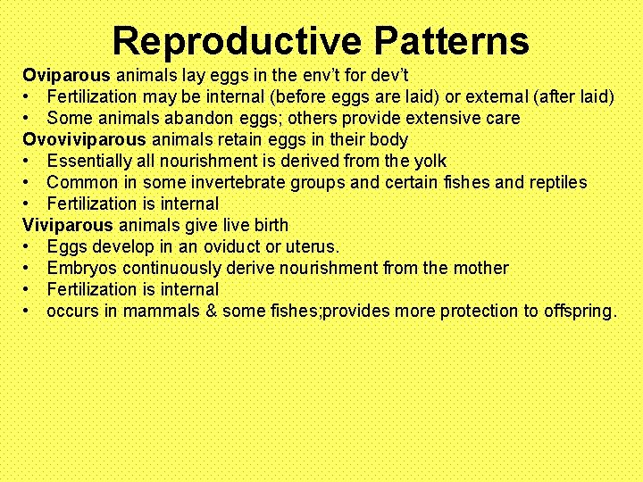 Reproductive Patterns Oviparous animals lay eggs in the env’t for dev’t • Fertilization may