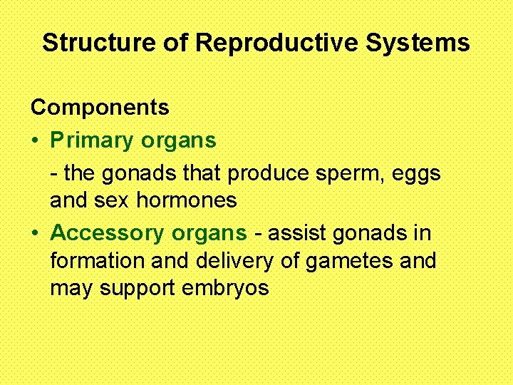 Structure of Reproductive Systems Components • Primary organs - the gonads that produce sperm,