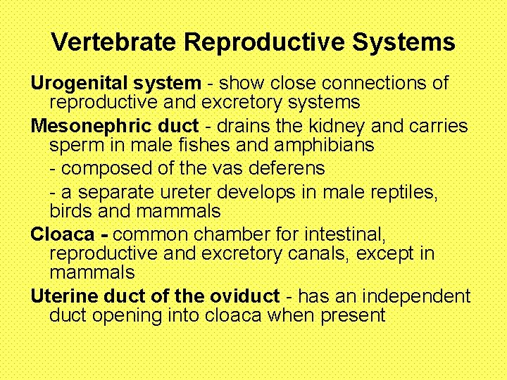 Vertebrate Reproductive Systems Urogenital system - show close connections of reproductive and excretory systems