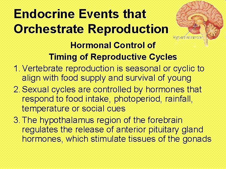 Endocrine Events that Orchestrate Reproduction Hormonal Control of Timing of Reproductive Cycles 1. Vertebrate