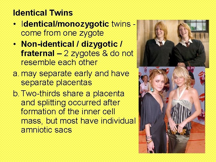 Identical Twins • Identical/monozygotic twins come from one zygote • Non-identical / dizygotic /