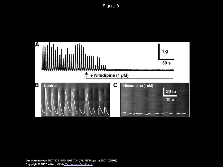 Figure 3 Gastroenterology 2007 1321852 -1865 DOI: (10. 1053/j. gastro. 2007. 02. 049) Copyright