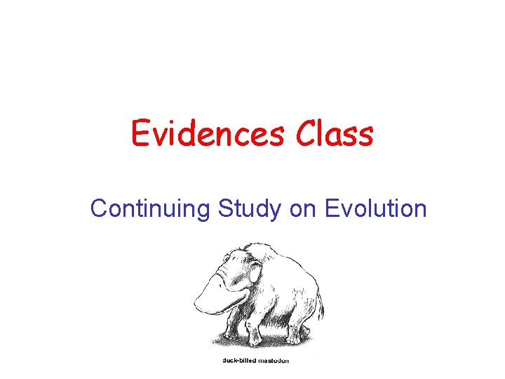 Evidences Class Continuing Study on Evolution 