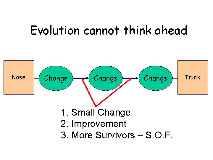 Evolution cannot think ahead Nose Change 1. Small Change 2. Improvement 3. More Survivors