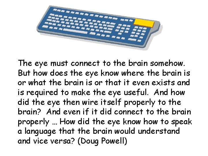 The eye must connect to the brain somehow. But how does the eye know