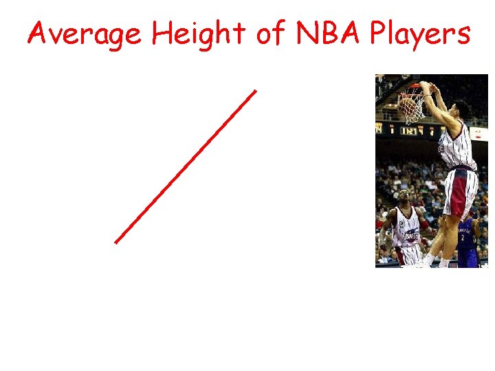 Average Height of NBA Players 