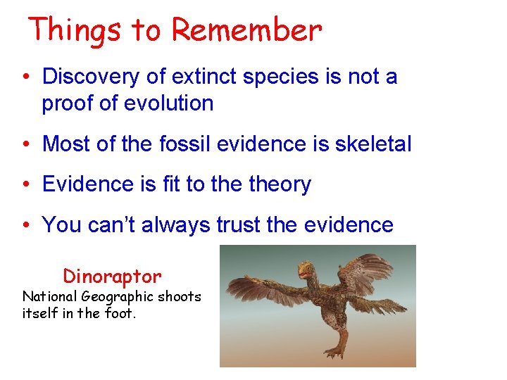 Things to Remember • Discovery of extinct species is not a proof of evolution