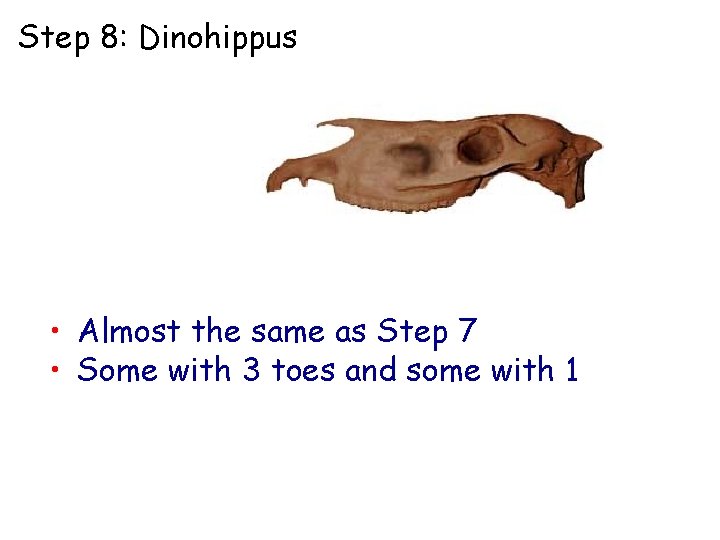 Step 8: Dinohippus • Almost the same as Step 7 • Some with 3