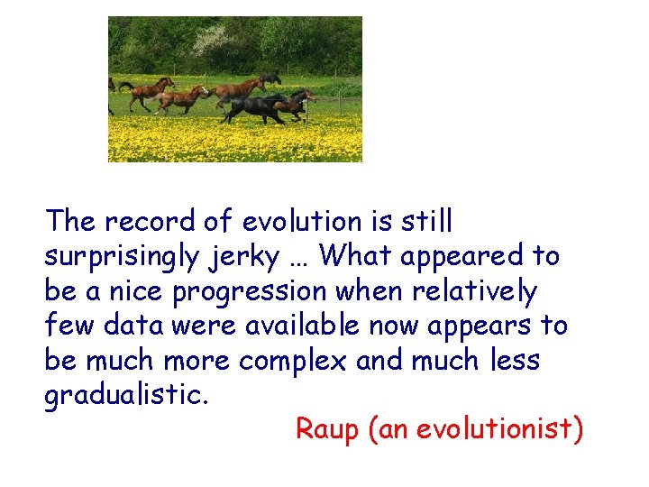 The record of evolution is still surprisingly jerky … What appeared to be a